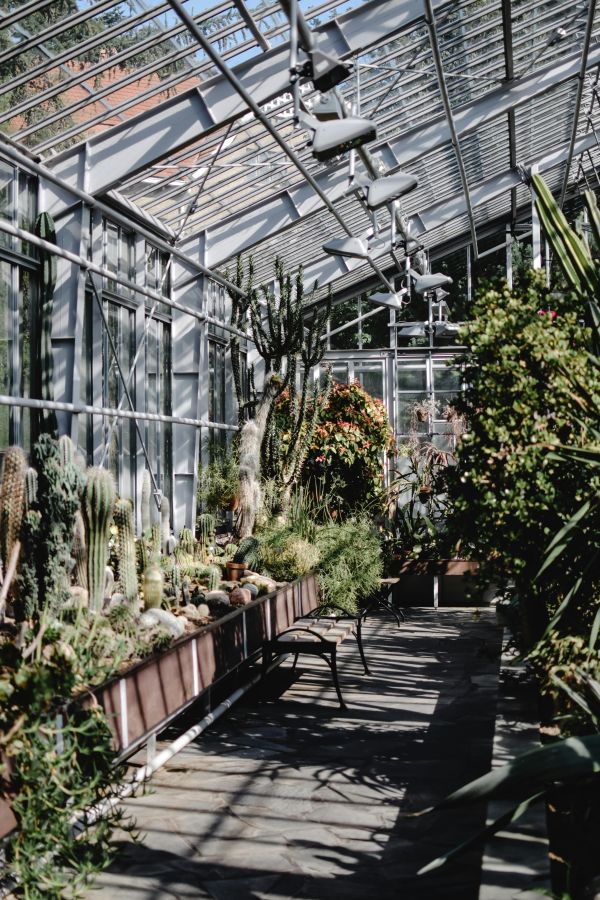 Cultiver toute l'année grâce à une serre de jardin : conseils, astuces et idées de culture