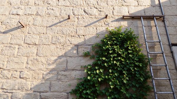 Techniques peu connues pour le ravalement de façade à Rennes